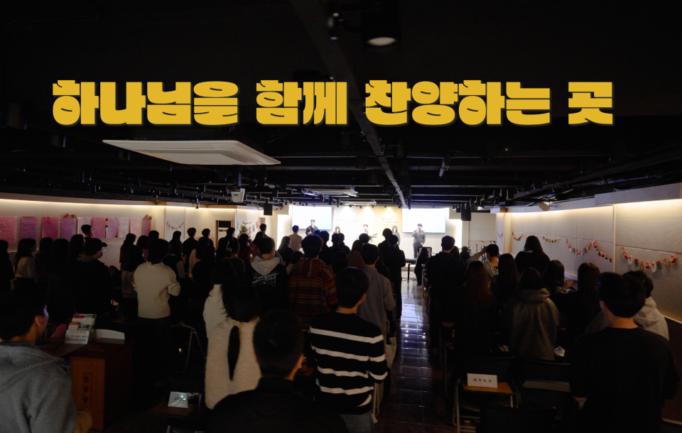 youngAdults image 17