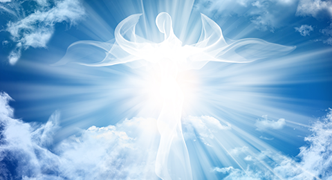 Vision for Ministry image 03