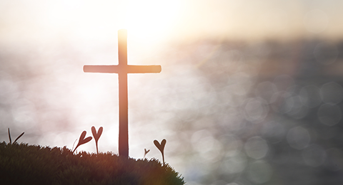 Vision for Ministry image 04